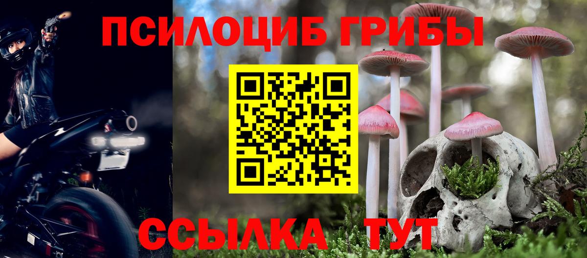 Галлюциногенные грибы Psilocybine cubensis Великий Новгород