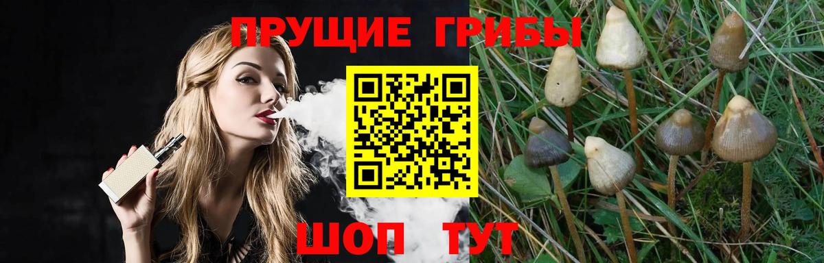 Галлюциногенные грибы Magic Shrooms  Галлюциногенные грибы Psilocybe  Великий Новгород  Вход с VPN 